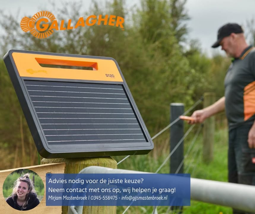 Gijs Mastenbroek Afrasteringen