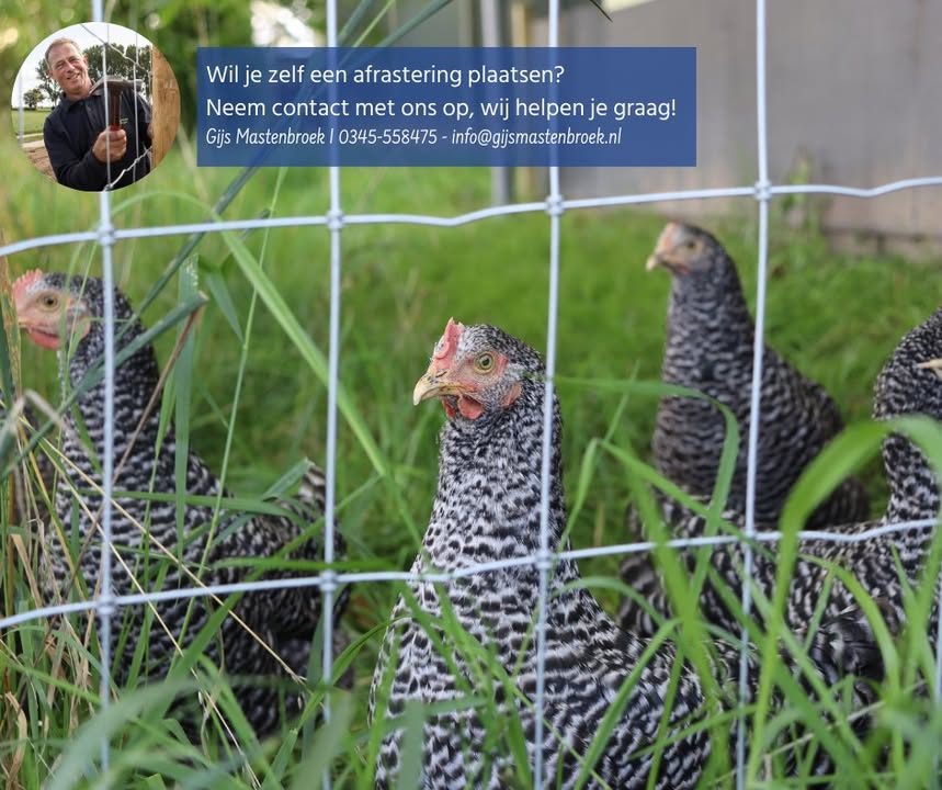 Gijs Mastenbroek Afrasteringen