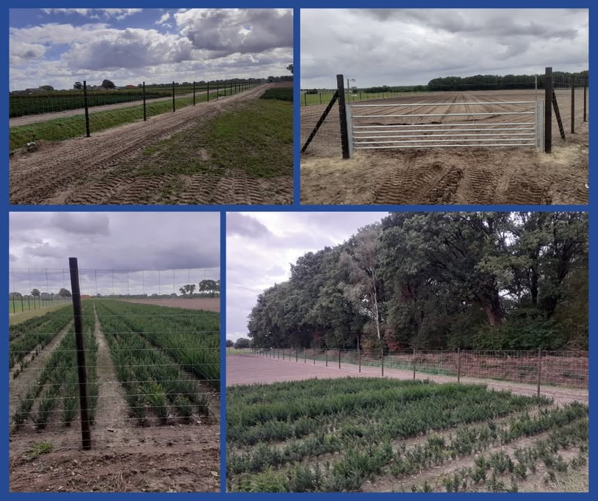 Gijs Mastenbroek Afrasteringen