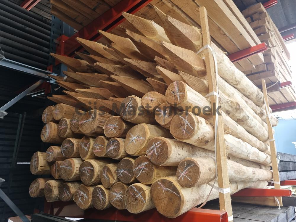 Robinia palen 10/12 L180