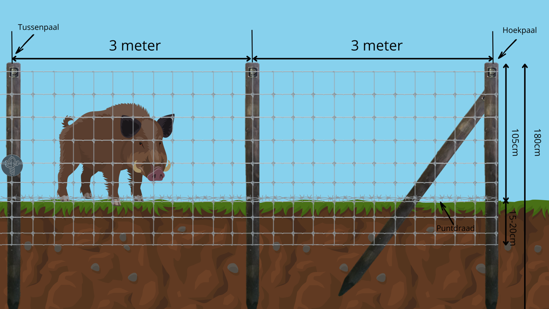 Kopie van 3 meter (3).png