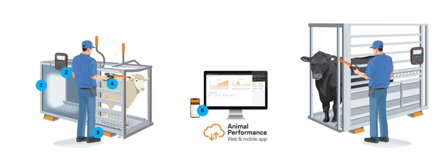 Schermafbeelding 2026-01-16 101612.png