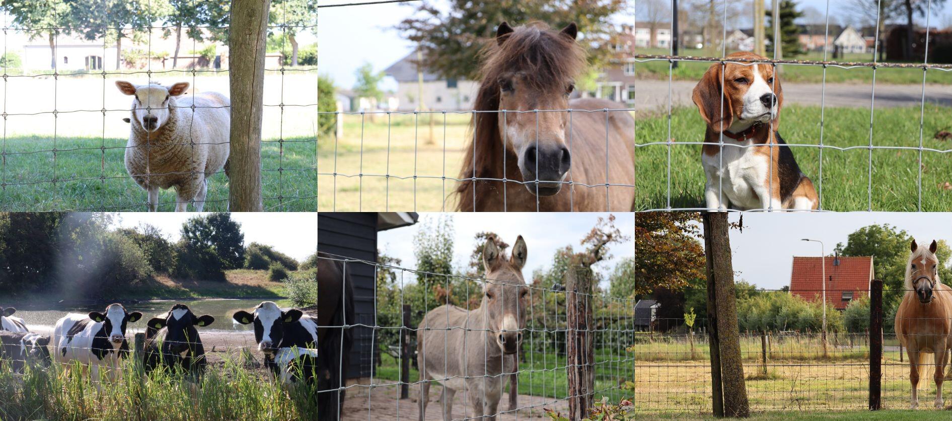 Ontwerp zonder titel123.jpg