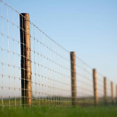 Dura² palen met Titan gaas