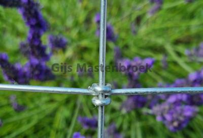 Tornadogaas torusknoop