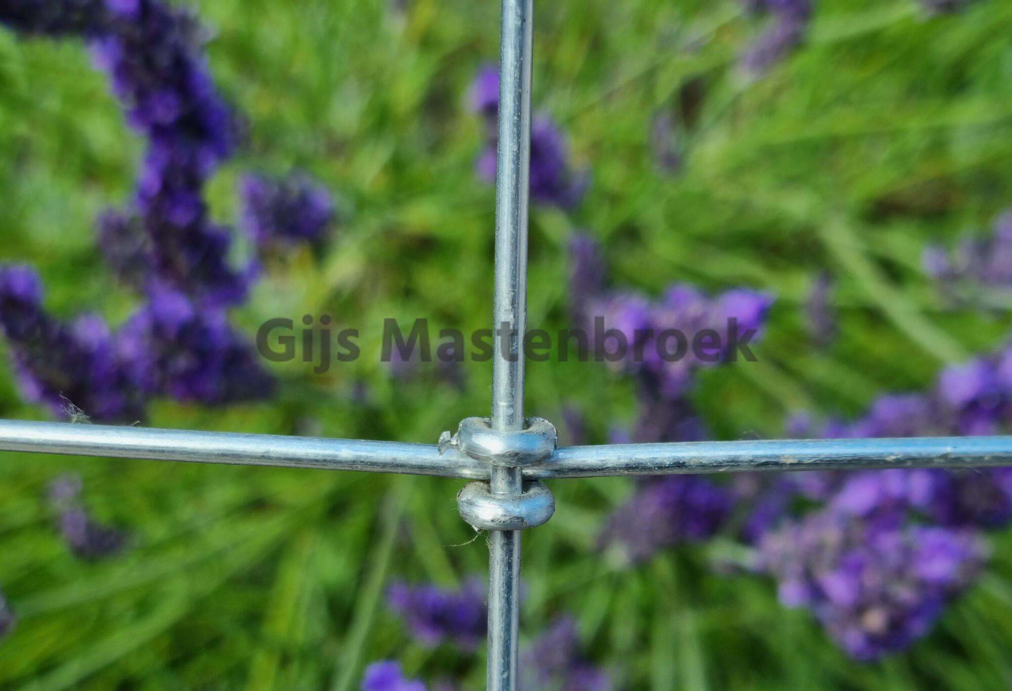 Tornadogaas torusknoop