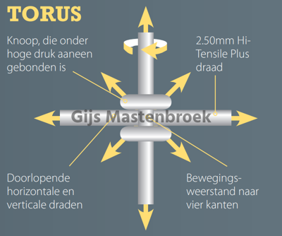 Tornadogaas torusknoop