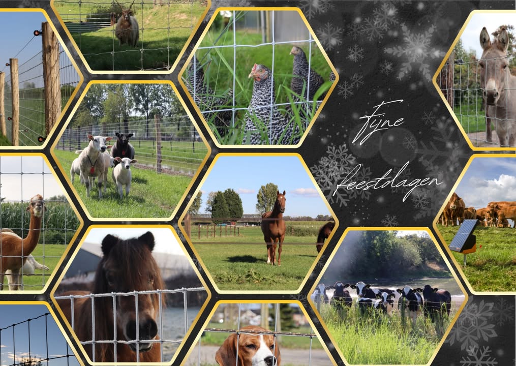 Gijs Mastenbroek Afrasteringen