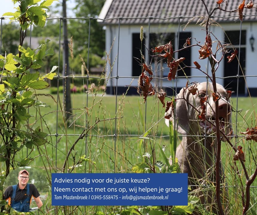 Gijs Mastenbroek Afrasteringen