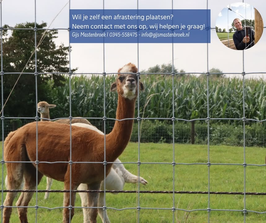 Gijs Mastenbroek Afrasteringen