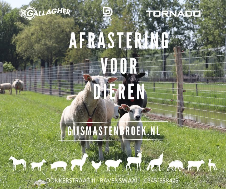 Gijs Mastenbroek Afrasteringen