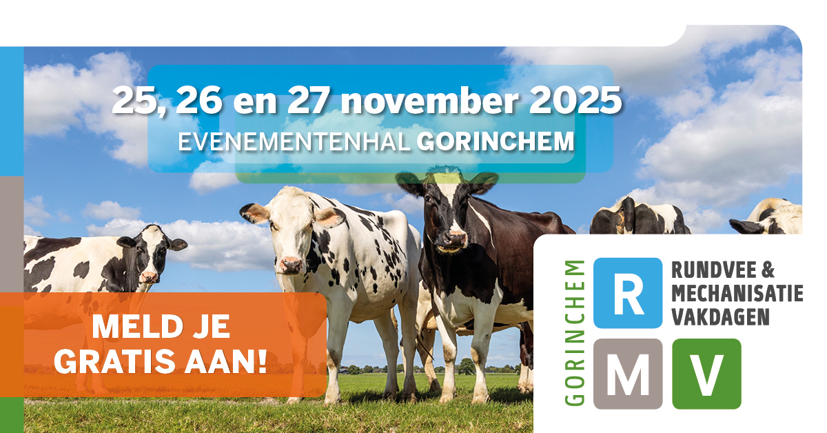 Gijs Mastenbroek Afrasteringen