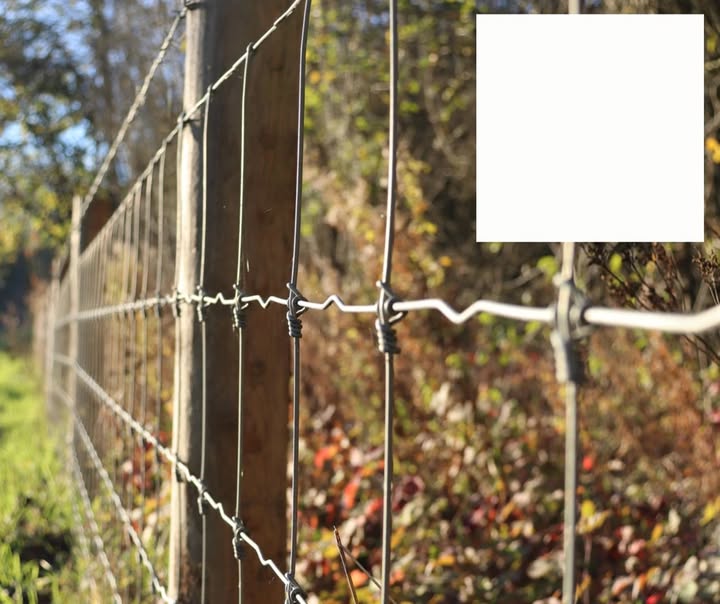 Gijs Mastenbroek Afrasteringen