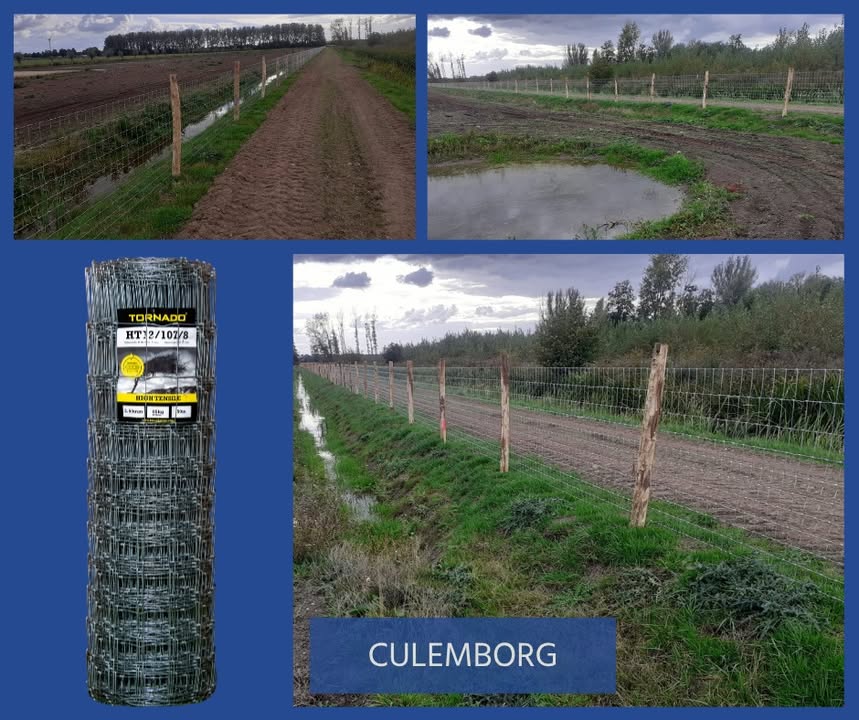 Gijs Mastenbroek Afrasteringen